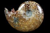 Polished, Agatized Ammonite (Cleoniceras) - Madagascar #97361-1